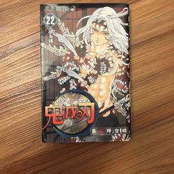 Demon Slayer Volume 22