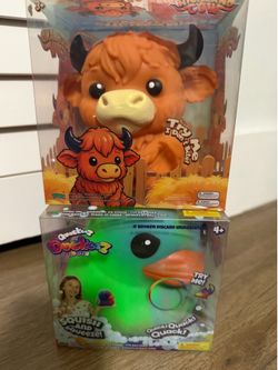 Highland Cow and Quackee Duckeez Tie Dye Squish Toy