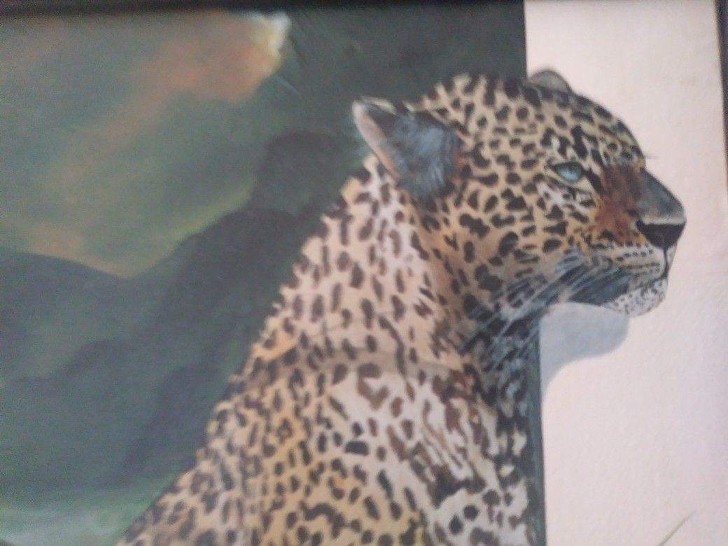 Cheetah family oil
