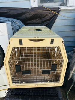 Dogs house