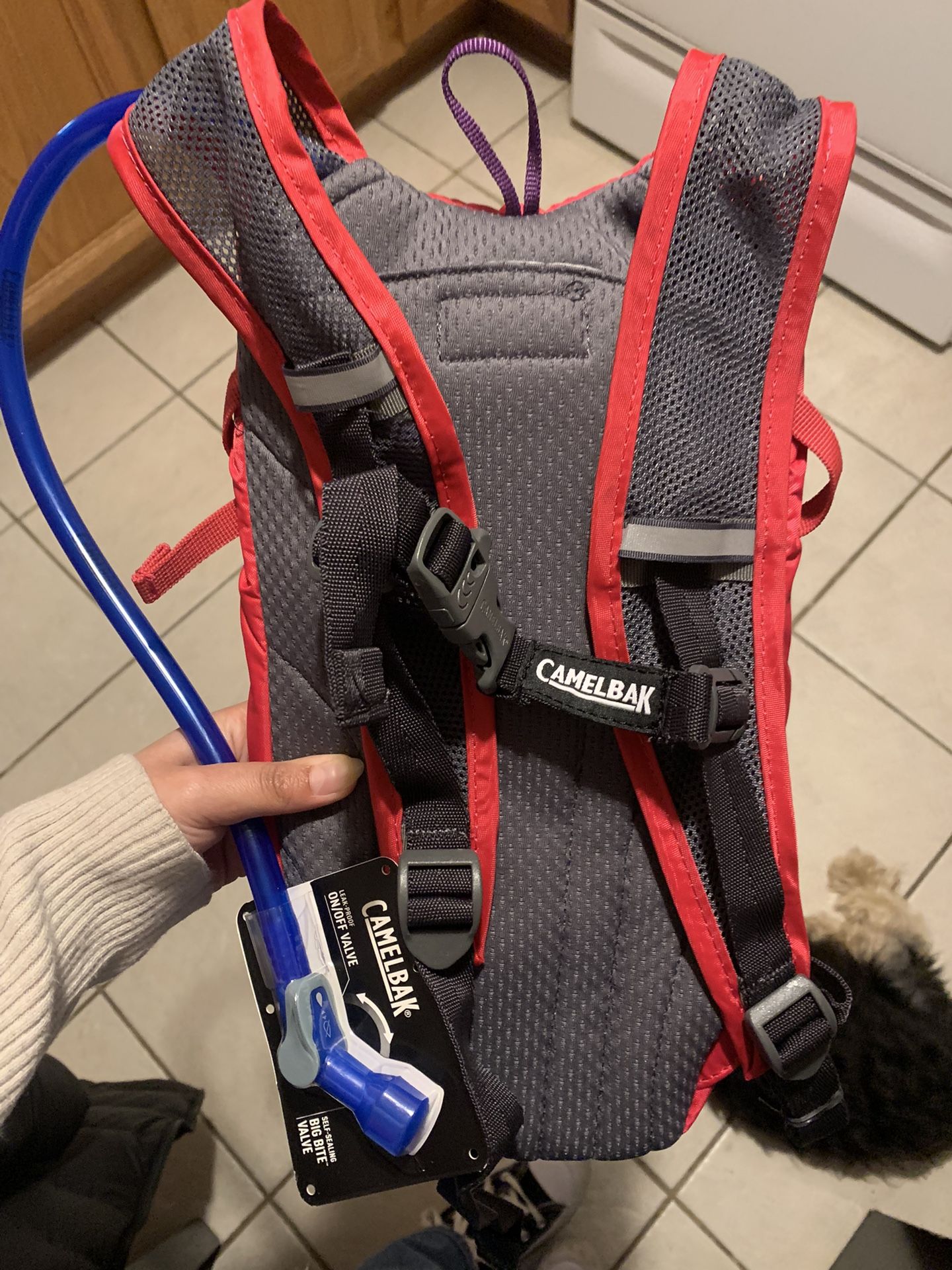 Camelbak Water Backpack 