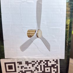 Brand New Ceiling Adam