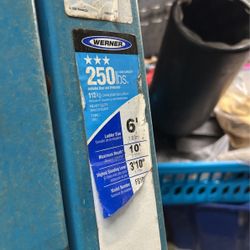 Werner 6ft Ladder