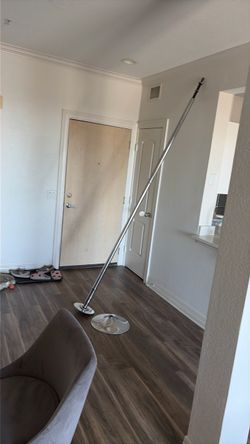 dance/fitness pole
