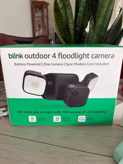 Blink floodlight