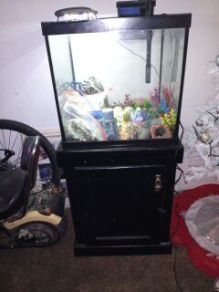 30 gallon Fish tank and stand plus some