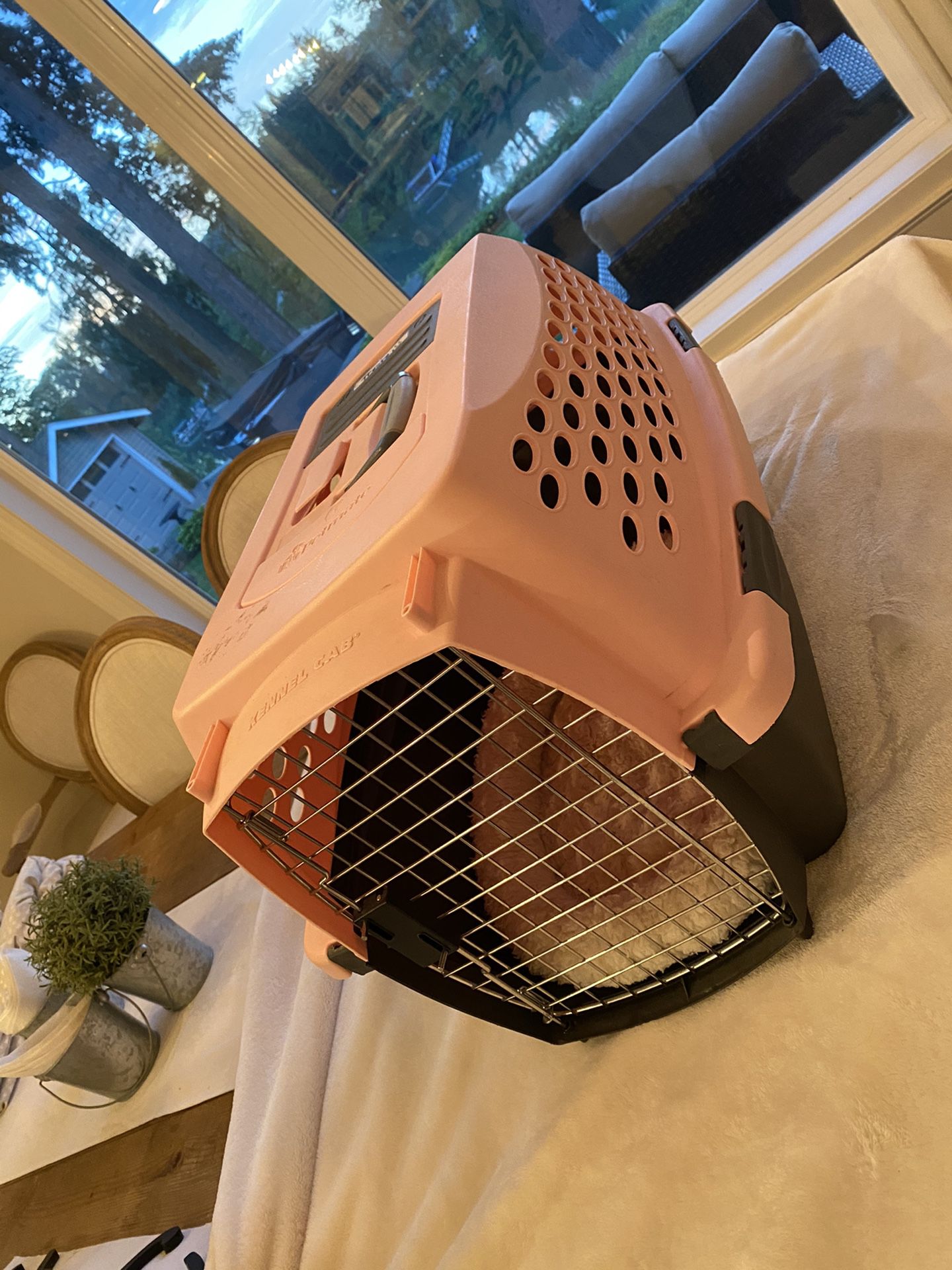 Kennel for dog or pet carrier