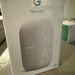 Google Nest Speaker