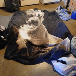 Free Misc Must Tale All