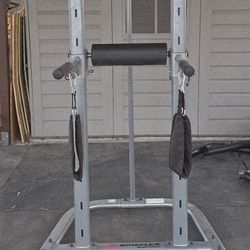 Bowflex Power Tower 