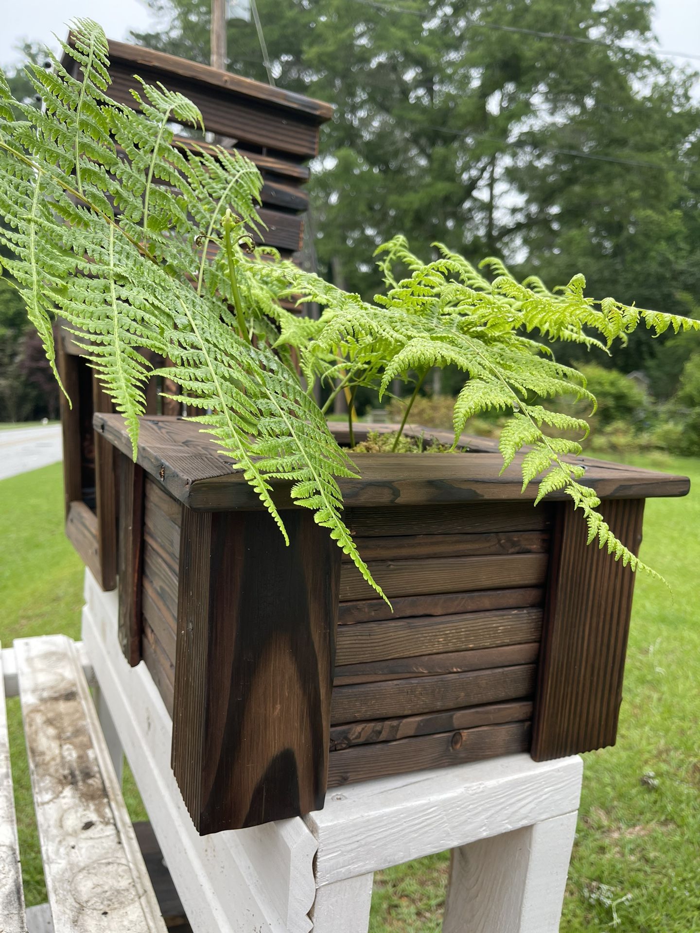 PLANTER