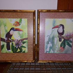 2 Tropical Toucan Framed Wall Pictures