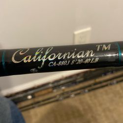 Nice fishing rod