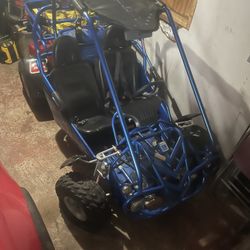 Trail master 250 Dune Buggy 2 Seater ( Blue )