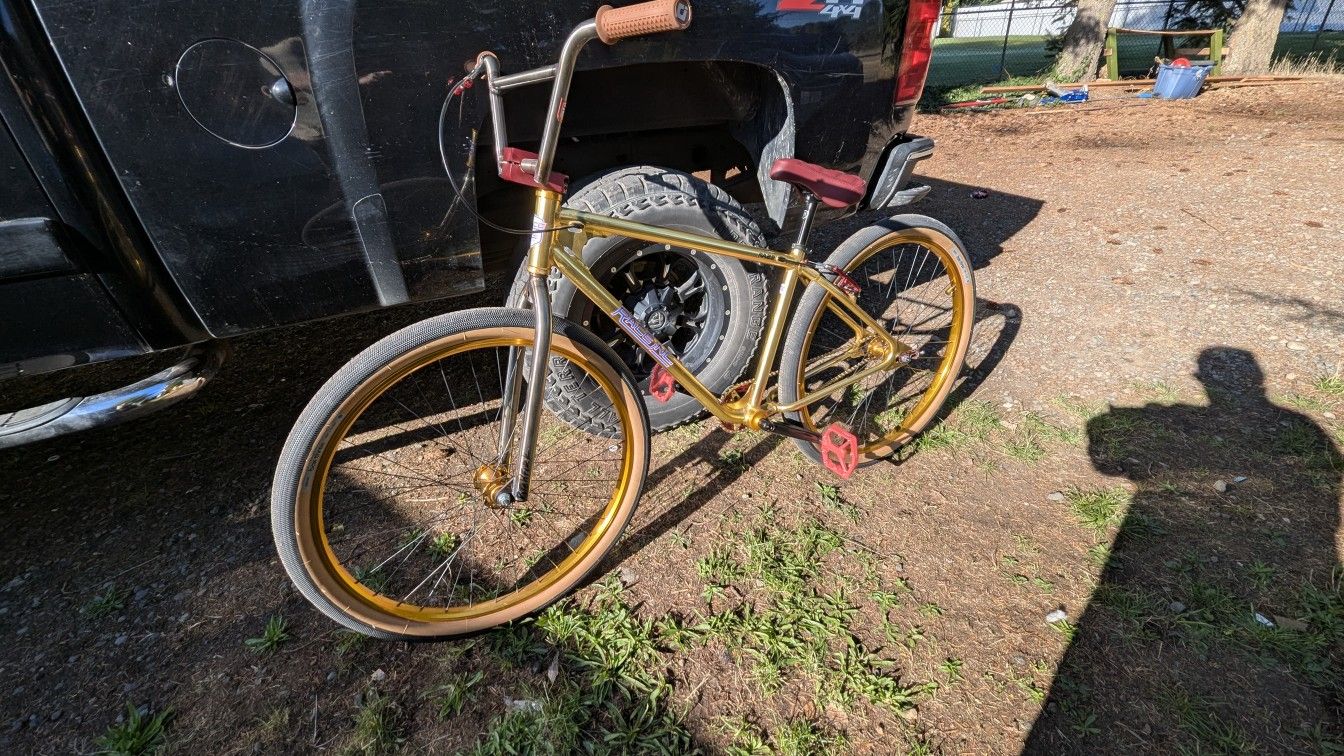 Custom Raceinc Ra29 BMX