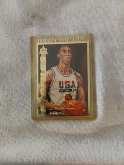 Scottie Pippen USA Card