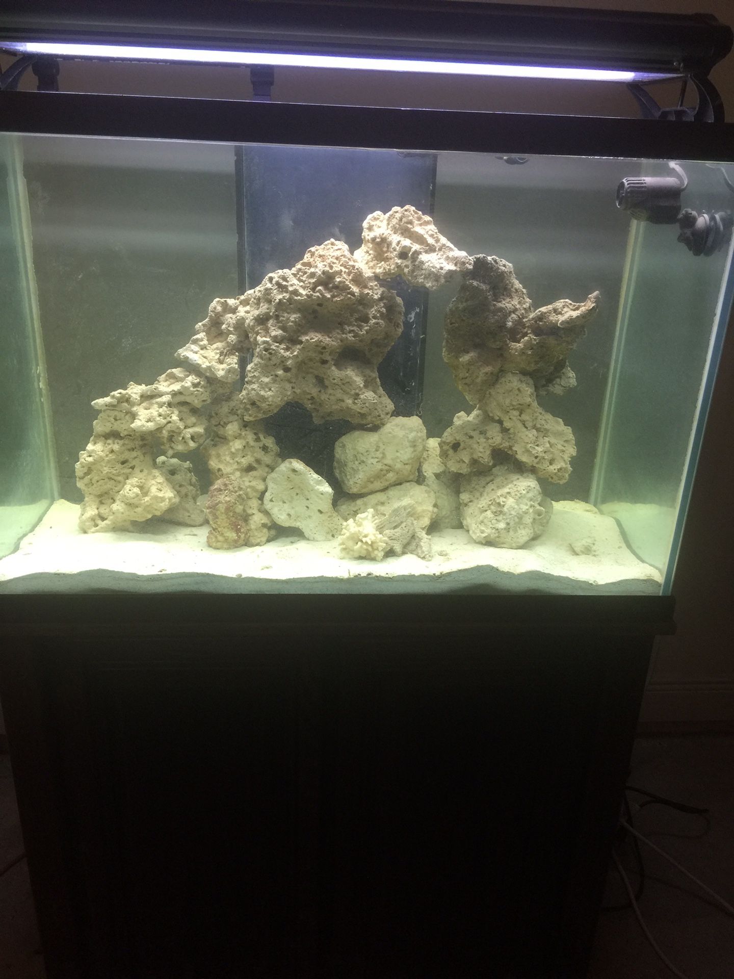 65 gallons drilled salt water fish tank