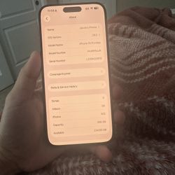 iphone 15 pro max 256 