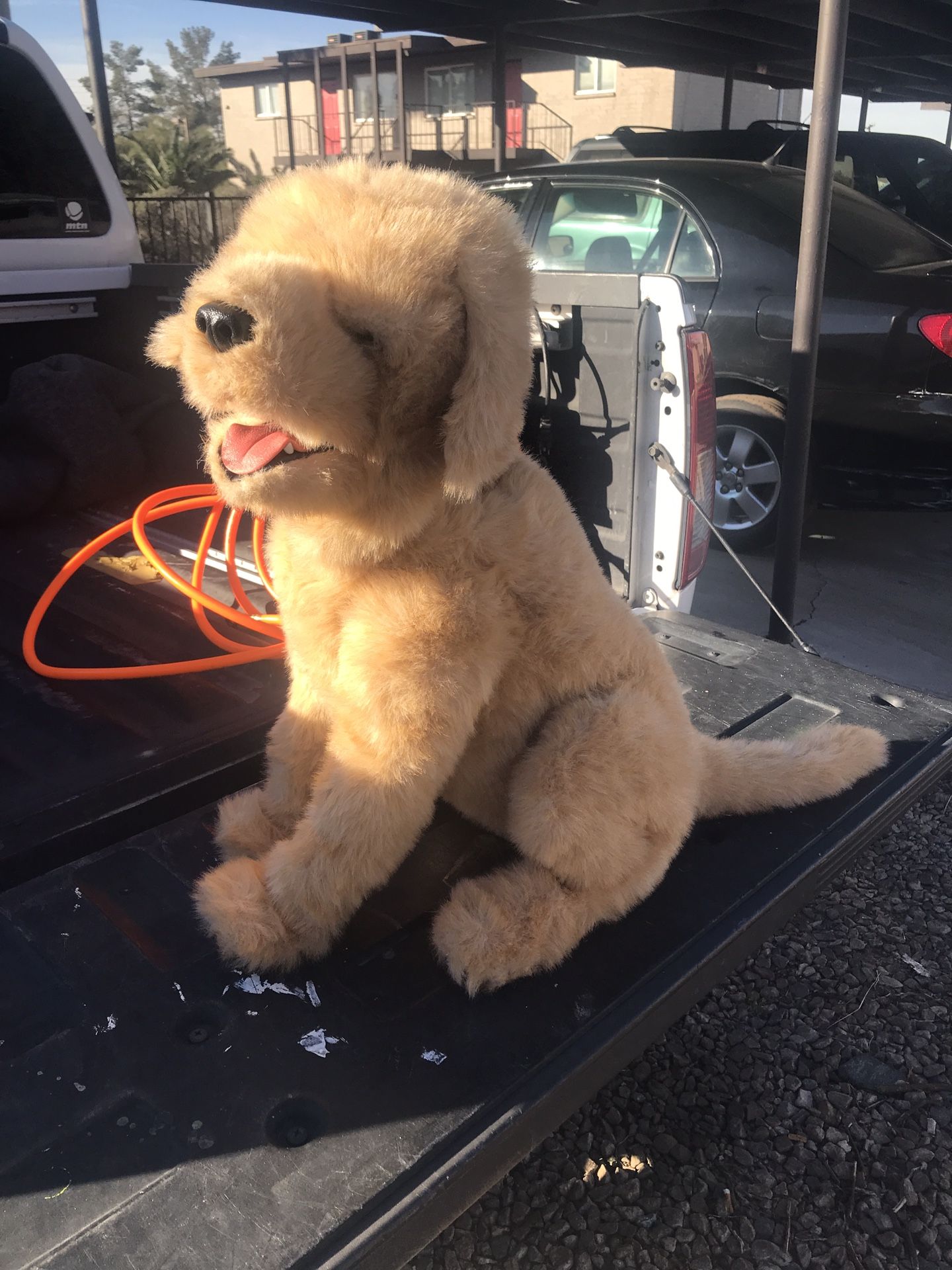 Biscuit My Lovin’ Pup