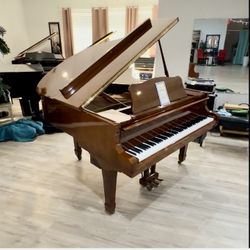 Piano baby grand FREE DELIVERY & Tuning. 10  Year Warranty 