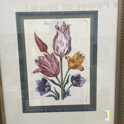 Floral Paintings