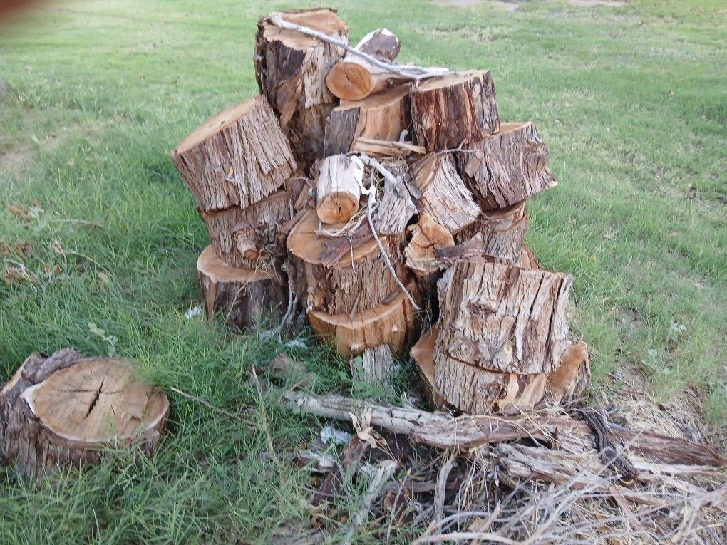 Eucalyptus Fire Wood