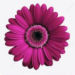 YARD SALE MARZO 14 / 8 am-2pm