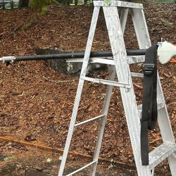 Stihl 56C  Gas Powered Pole Saw