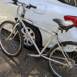 Specialized Full Force Thunder Mountain Bike 