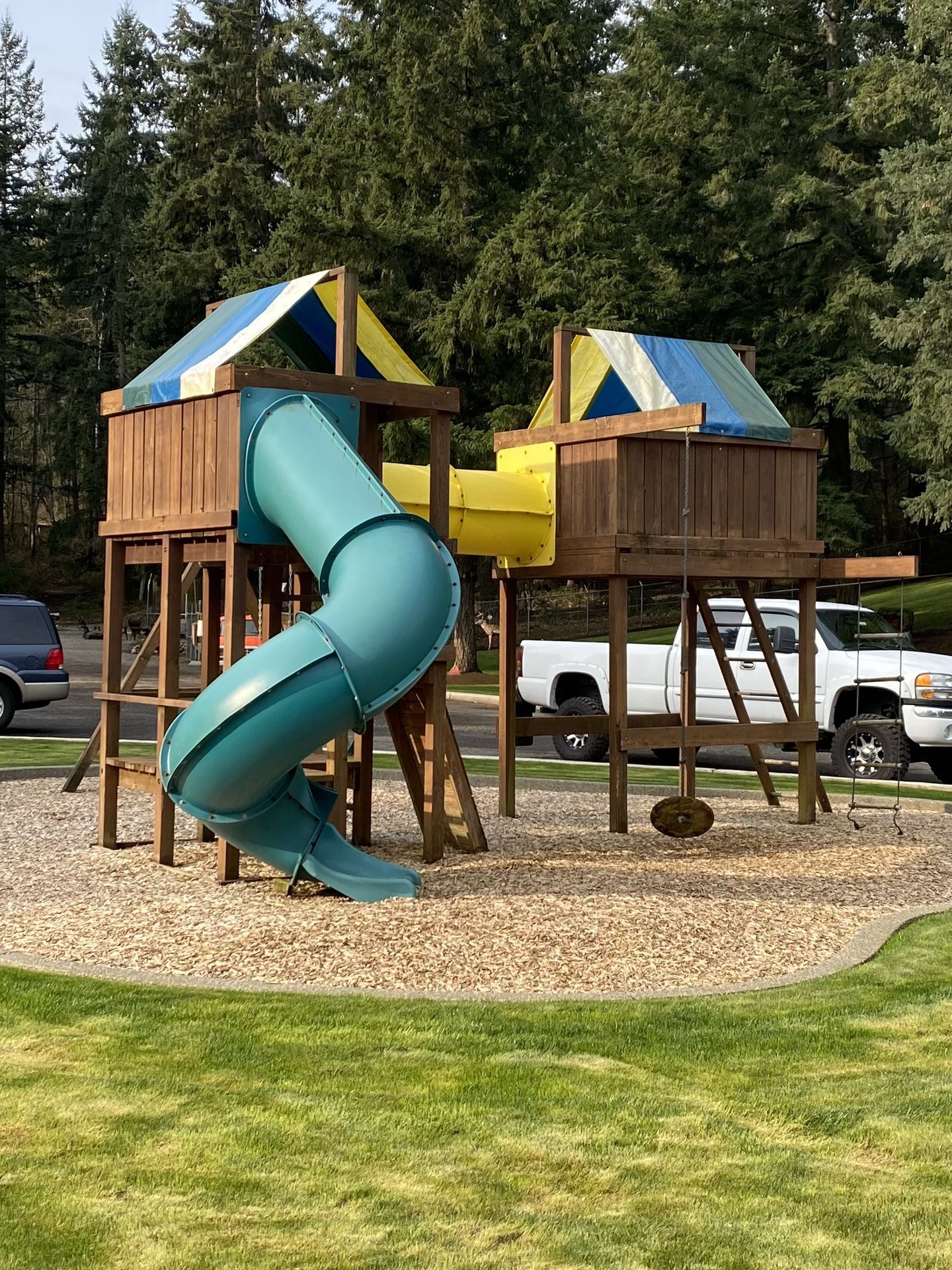 Big Toy Play/Swing Set