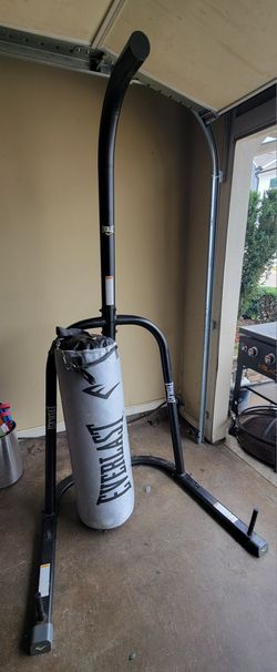 80lb Everlast Punching Bag