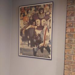 1971  Alan Page Poster 