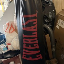 Everlast Punching Bag