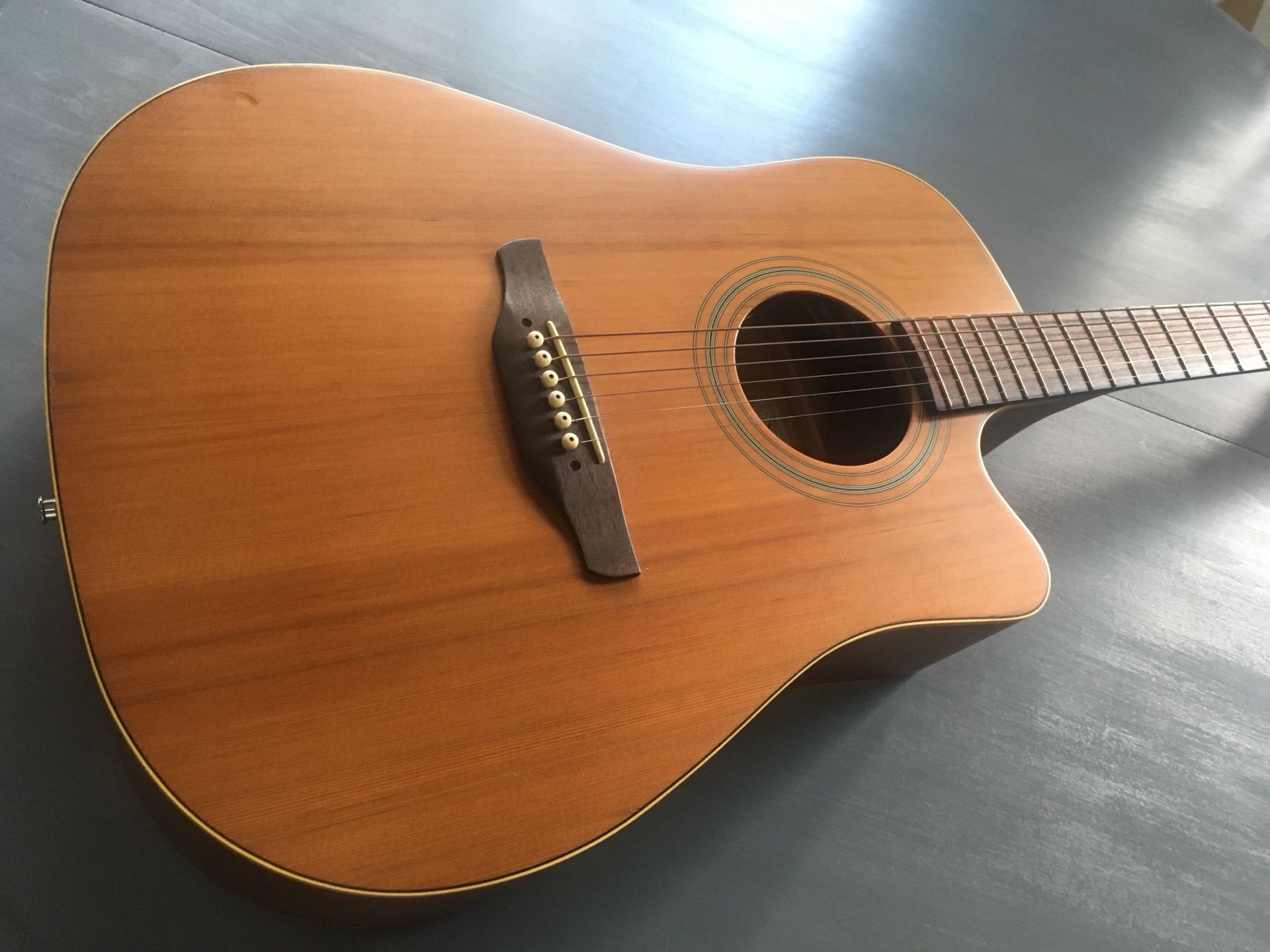 Takamine G Series Solid Top Acoustic Guitar