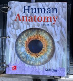 Human Anatomy Saladin