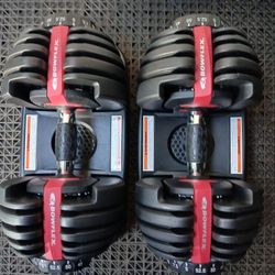 Bowflex SelectTech 552 Adjustable Dumbbells.