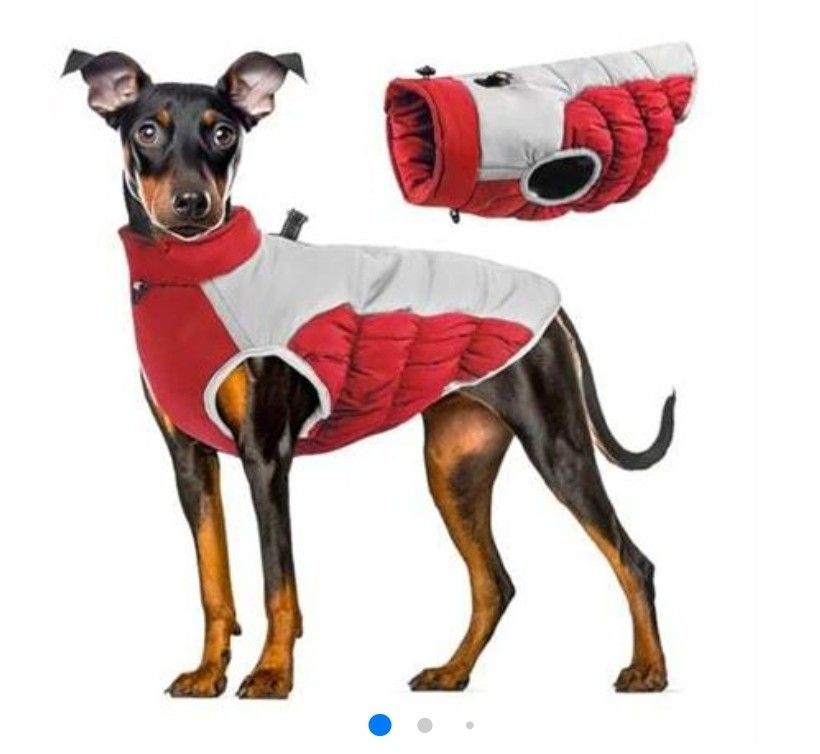 *NEW* Dog Winter Coat with D-Ring Harness