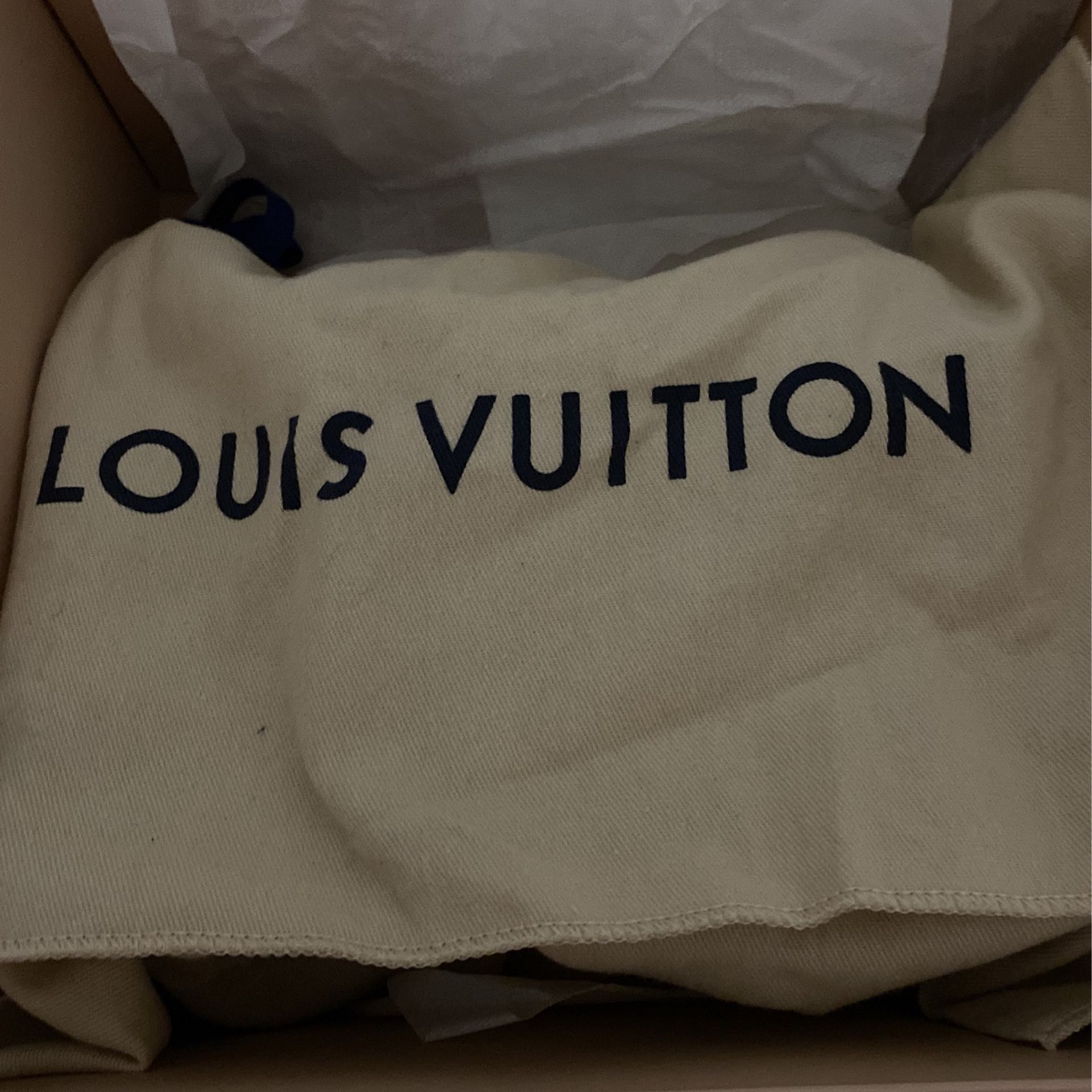 Louis Vuitton Wynwood Monogram Vernis Crossbody Bag