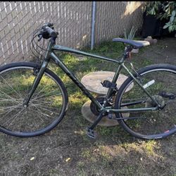 Giant Escape 3 Moss Medium