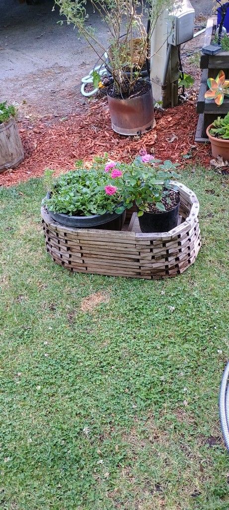 Lawn And Garden