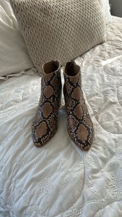 Steve Madden Woman Booties Snake Print Brown//black