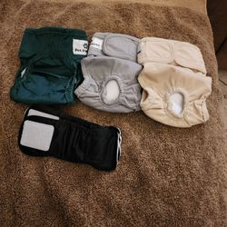 XS Doggie Diapers