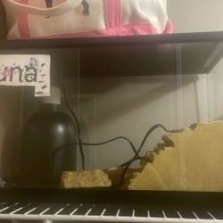 Lizard Cage