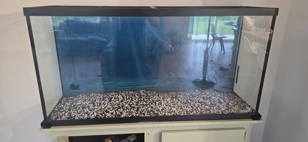 65 Gallon Fish Tank With Stand And All Accessories