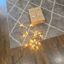 50ft Outdoor Patio  Led  String Lights Warm Light Shattered Proof Brand New (Plug In ) $15each