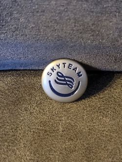 Silver Tone And Blue Sky Team Pin Skyteam Alliance Crew Hostess Pin
