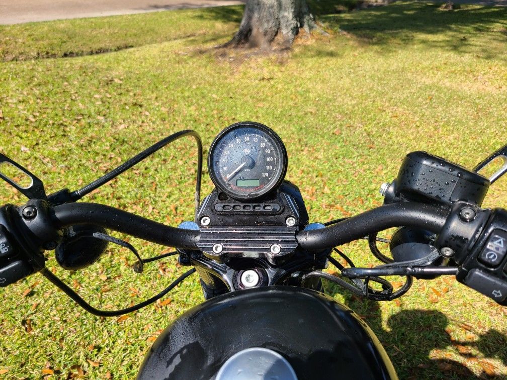 2019 Harley Davidson Iron 883