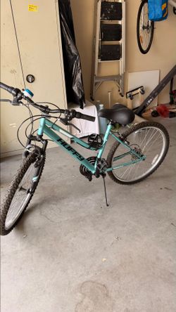 Mountain bike