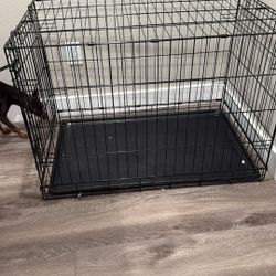 Large Dog  Kennel
