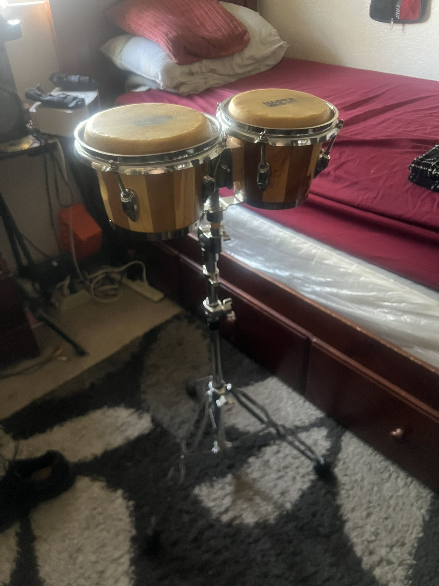 Bongos &Stand $80 Fender Guitars $200 Each